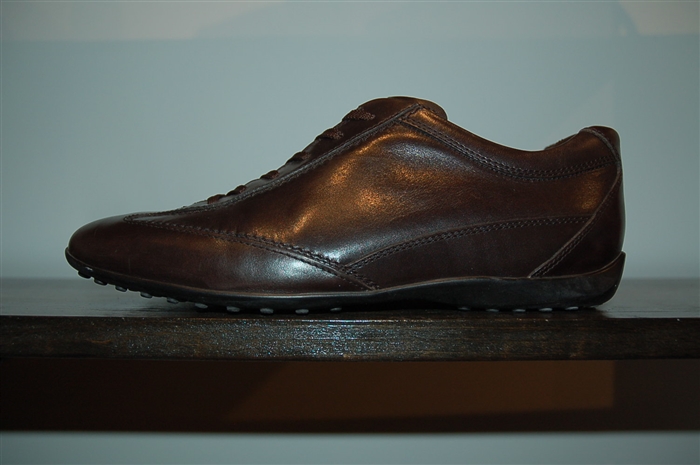 Espresso Tod's Sneaker, size 8.5