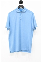Blue Stripe Ermenegildo Zegna Polo, size M