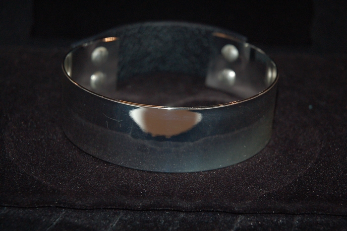 Silver Jenny Bird Choker, size O/S