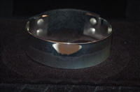 Silver Jenny Bird Choker, size O/S