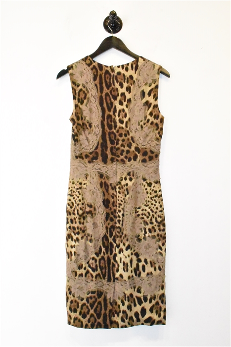 Animal Print Dolce & Gabbana Sheath Dress, size 8