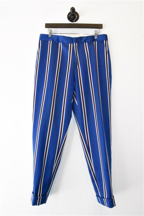 Blue Stripe Dries van Noten Trousers, size 33