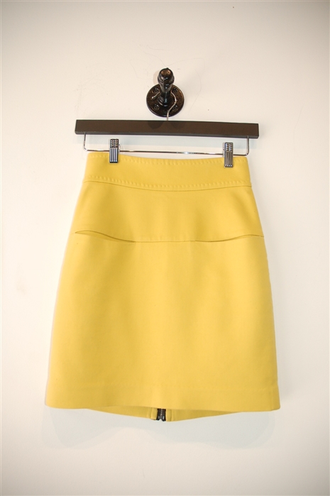 Dandelion 3.1 Phillip Lim Pencil Skirt, size 0