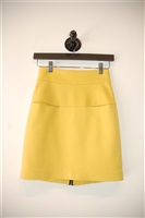Dandelion 3.1 Phillip Lim Pencil Skirt, size 0