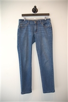 Denim Blue DL1961 Skinny Jean, size 29