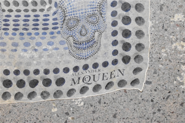 Print Alexander McQueen Silk Scarf, size O/S
