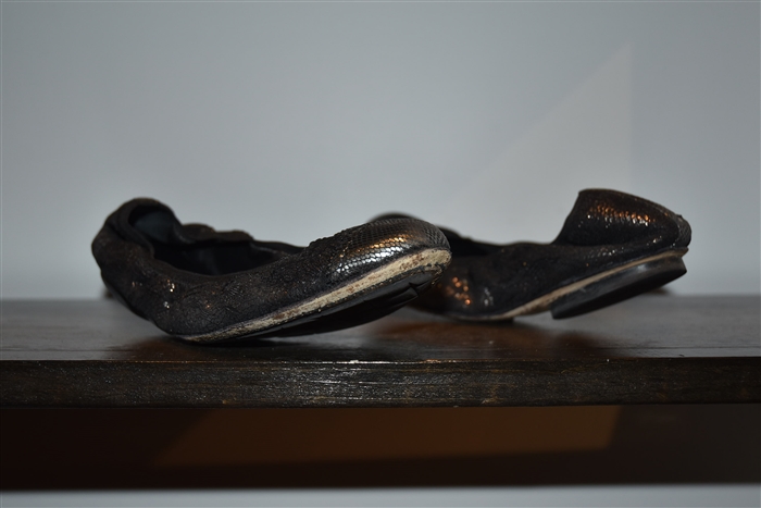 Black & Bronze Chanel Ballet Flats, size 7
