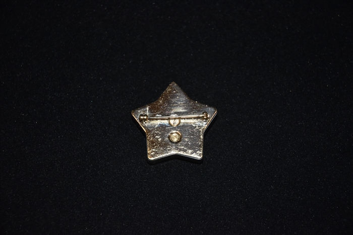 Black & Gold Gucci Brooch, size O/S