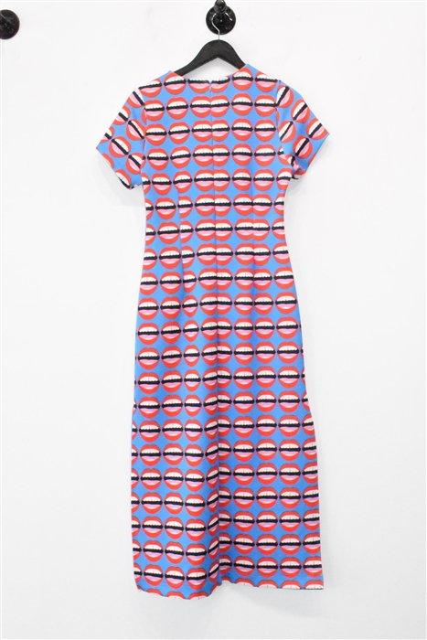 Print Hayley Elsaesser Midi Dress, size 6