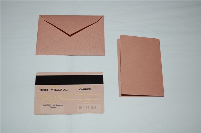 Soft Beige Miu Miu Tote, size L