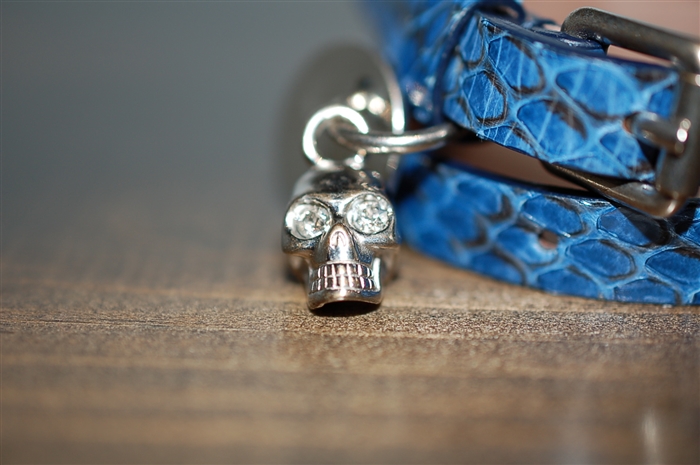 Blue Snakeskin Alexander McQueen Bracelet, size O/S