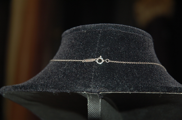 Sterling Silver Tiffany & Co Necklace, size O/S