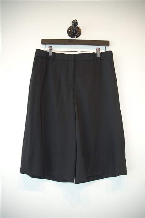 Basic Black Theory Shorts, size 8